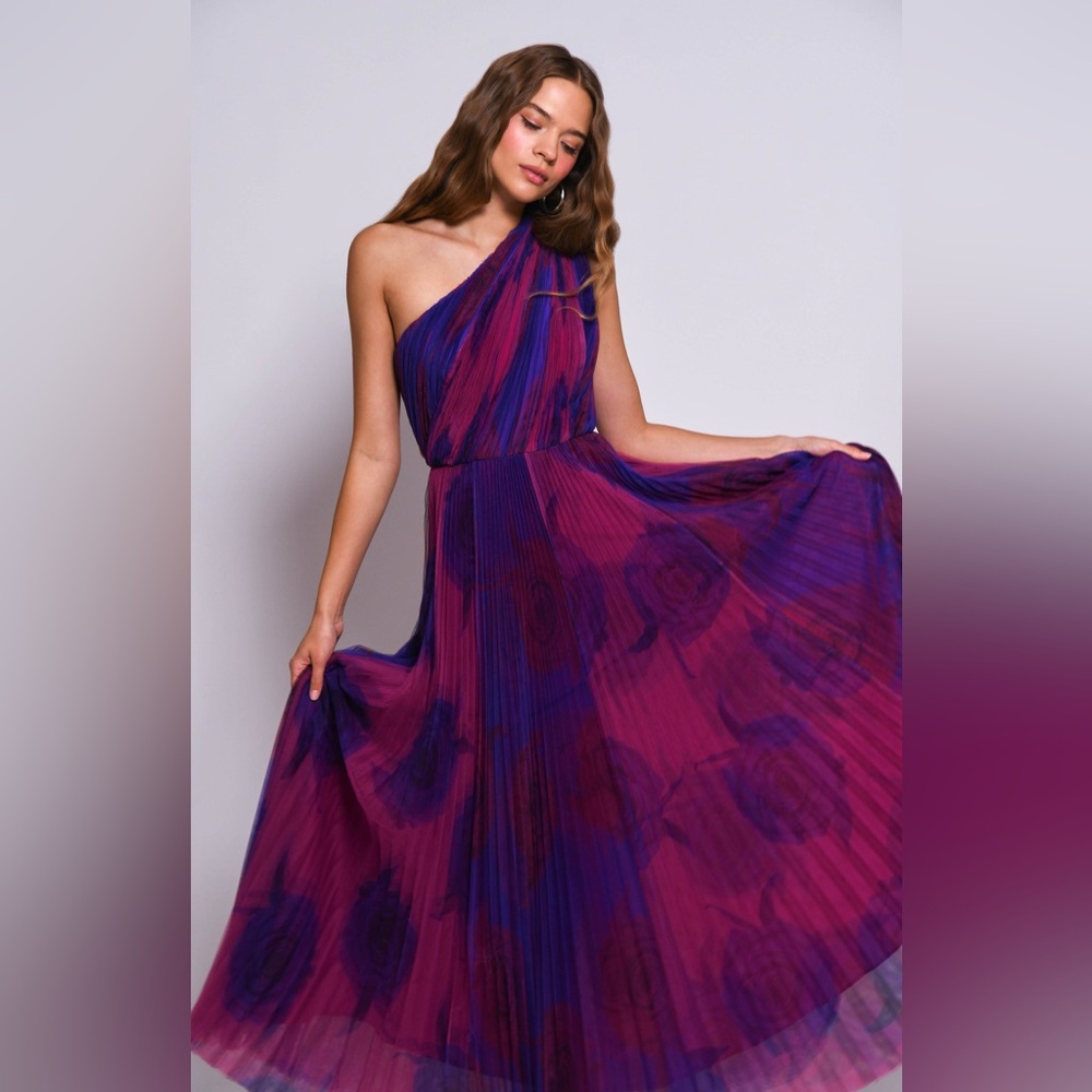 Hutch Tarina One-Shoulder Maxi Tulle Gown Pink Purple Roses Size 4 Lined Long